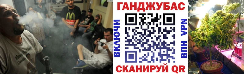 Галлюциногенные грибы Шагонар