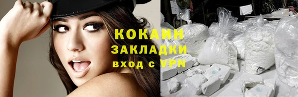 тгк Верея