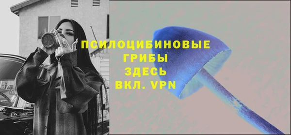 МДПВ Верхний Тагил