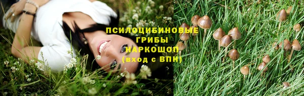 тгк Верея
