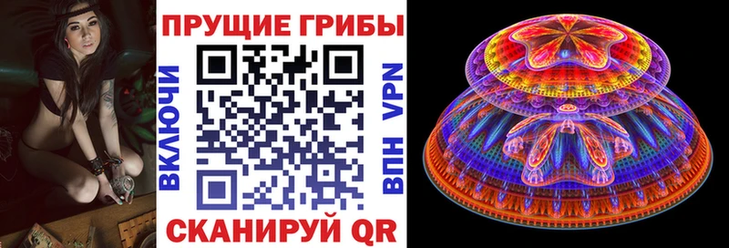 Галлюциногенные грибы GOLDEN TEACHER  Купить закладки  Шагонар 